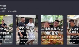 爆料燕子探店事件视频,一场美食与真相的邂逅